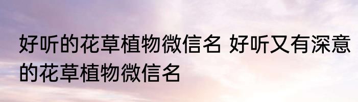 好听的花草植物微信名 好听又有深意的花草植物微信名