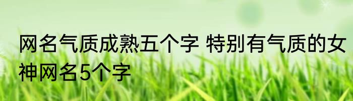网名气质成熟五个字 特别有气质的女神网名5个字