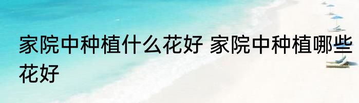 家院中种植什么花好 家院中种植哪些花好