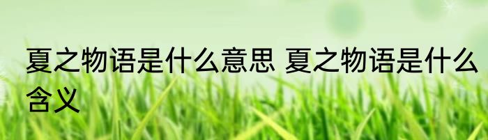 夏之物语是什么意思 夏之物语是什么含义