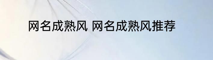 网名成熟风 网名成熟风推荐