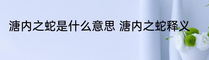溏内之蛇是什么意思 溏内之蛇释义