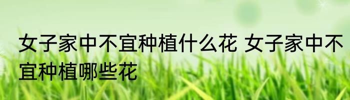 女子家中不宜种植什么花 女子家中不宜种植哪些花