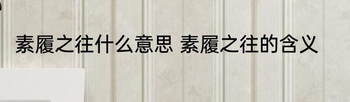 素履之往什么意思 素履之往的含义