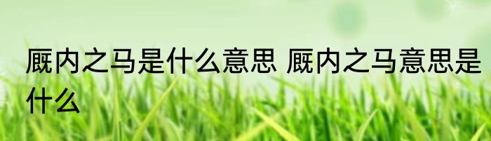 厩内之马是什么意思 厩内之马意思是什么