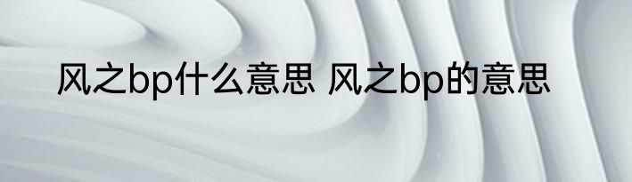 风之bp什么意思 风之bp的意思