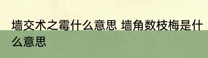 墙交术之霉什么意思 墙角数枝梅是什么意思
