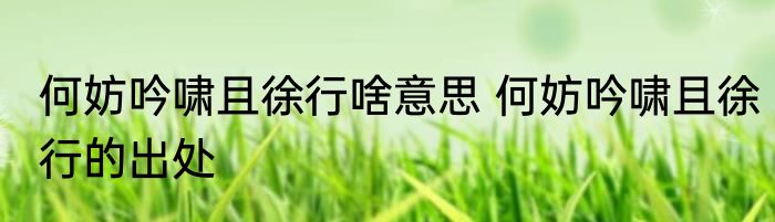 何妨吟啸且徐行啥意思 何妨吟啸且徐行的出处