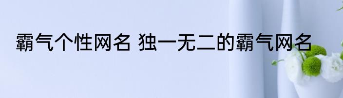 霸气个性网名 独一无二的霸气网名