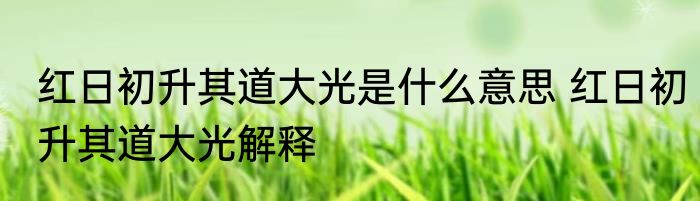 红日初升其道大光是什么意思 红日初升其道大光解释