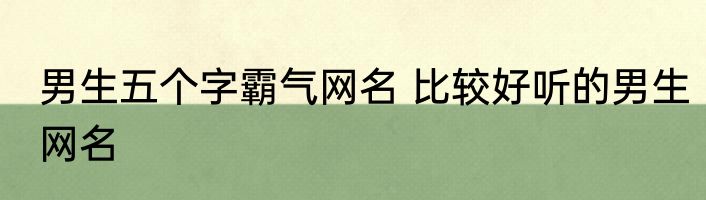 男生五个字霸气网名 比较好听的男生网名