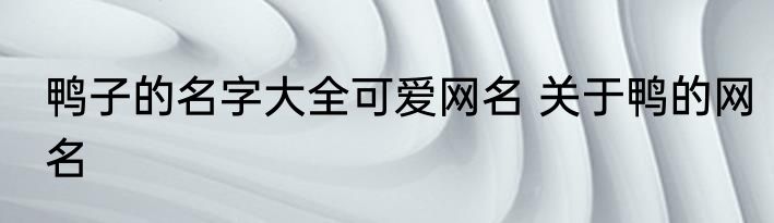 鸭子的名字大全可爱网名 关于鸭的网名