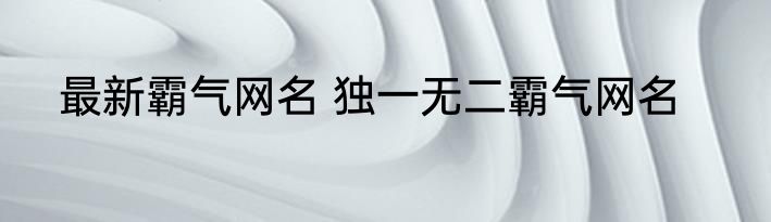 最新霸气网名 独一无二霸气网名