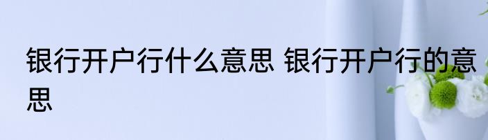 银行开户行什么意思 银行开户行的意思