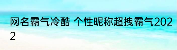 网名霸气冷酷 个性昵称超拽霸气2022