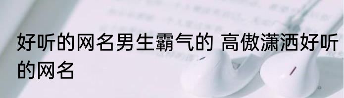 好听的网名男生霸气的 高傲潇洒好听的网名
