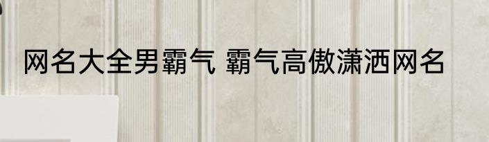 网名大全男霸气 霸气高傲潇洒网名