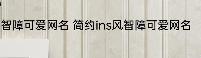 智障可爱网名 简约ins风智障可爱网名