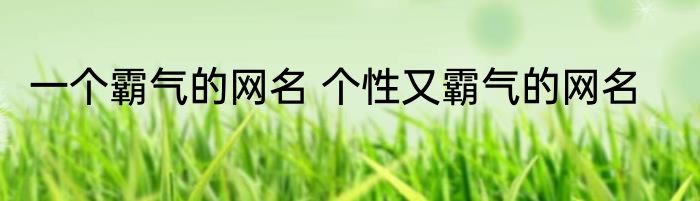 一个霸气的网名 个性又霸气的网名