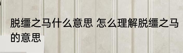 脱缰之马什么意思 怎么理解脱缰之马的意思
