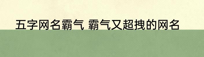 五字网名霸气 霸气又超拽的网名