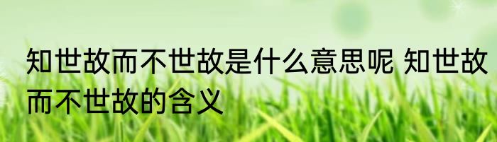 知世故而不世故是什么意思呢 知世故而不世故的含义