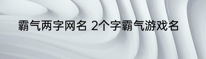 霸气两字网名 2个字霸气游戏名