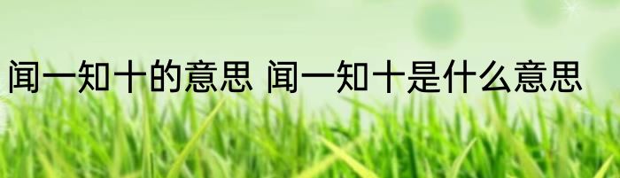 闻一知十的意思 闻一知十是什么意思