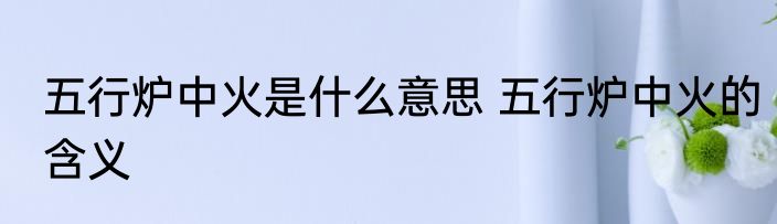 五行炉中火是什么意思 五行炉中火的含义