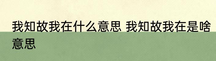 我知故我在什么意思 我知故我在是啥意思
