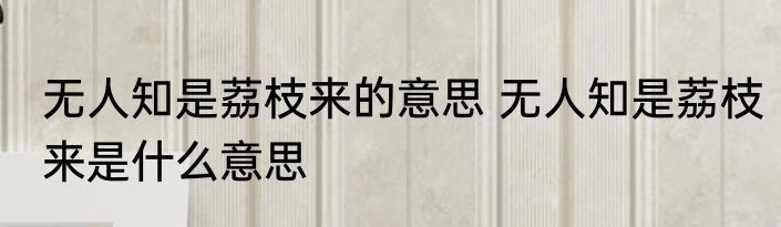 无人知是荔枝来的意思 无人知是荔枝来是什么意思