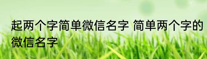 起两个字简单微信名字 简单两个字的微信名字