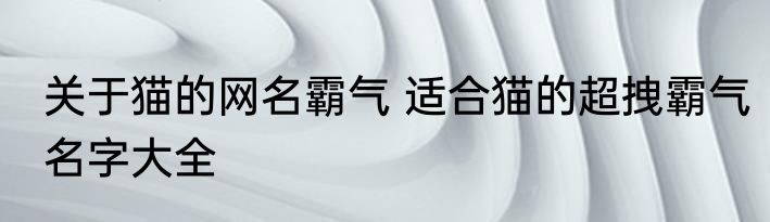 关于猫的网名霸气 适合猫的超拽霸气名字大全