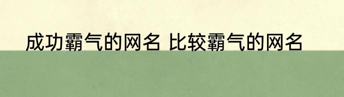 成功霸气的网名 比较霸气的网名