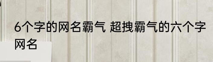 6个字的网名霸气 超拽霸气的六个字网名
