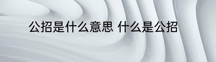 公招是什么意思 什么是公招