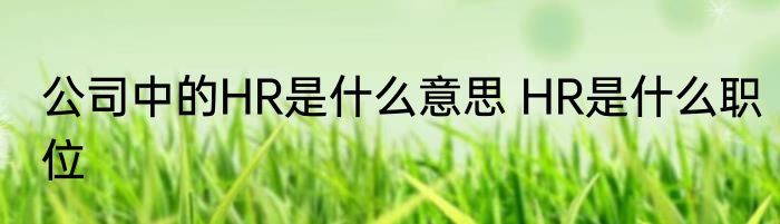 公司中的HR是什么意思 HR是什么职位