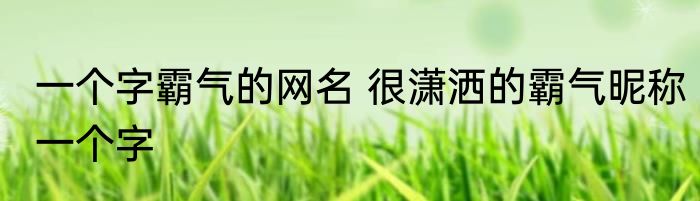 一个字霸气的网名 很潇洒的霸气昵称一个字