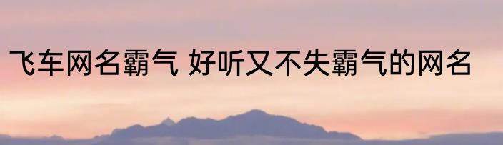 飞车网名霸气 好听又不失霸气的网名