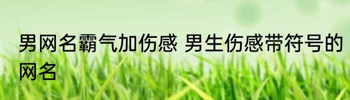 男网名霸气加伤感 男生伤感带符号的网名