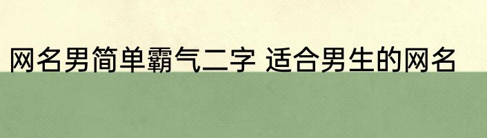 网名男简单霸气二字 适合男生的网名