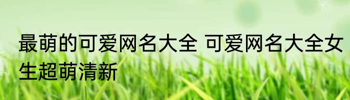 最萌的可爱网名大全 可爱网名大全女生超萌清新