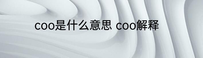 coo是什么意思 coo解释