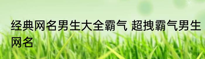 经典网名男生大全霸气 超拽霸气男生网名