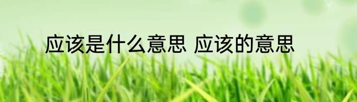 应该是什么意思 应该的意思