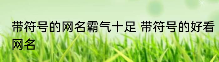 带符号的网名霸气十足 带符号的好看网名