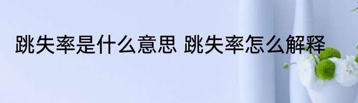 跳失率是什么意思 跳失率怎么解释