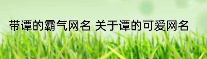 带谭的霸气网名 关于谭的可爱网名