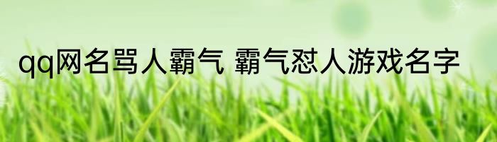 qq网名骂人霸气 霸气怼人游戏名字