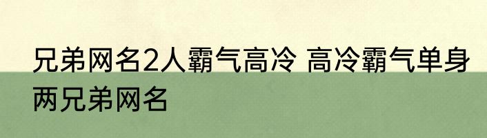兄弟网名2人霸气高冷 高冷霸气单身两兄弟网名